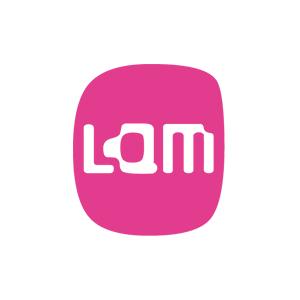 Musée Lam