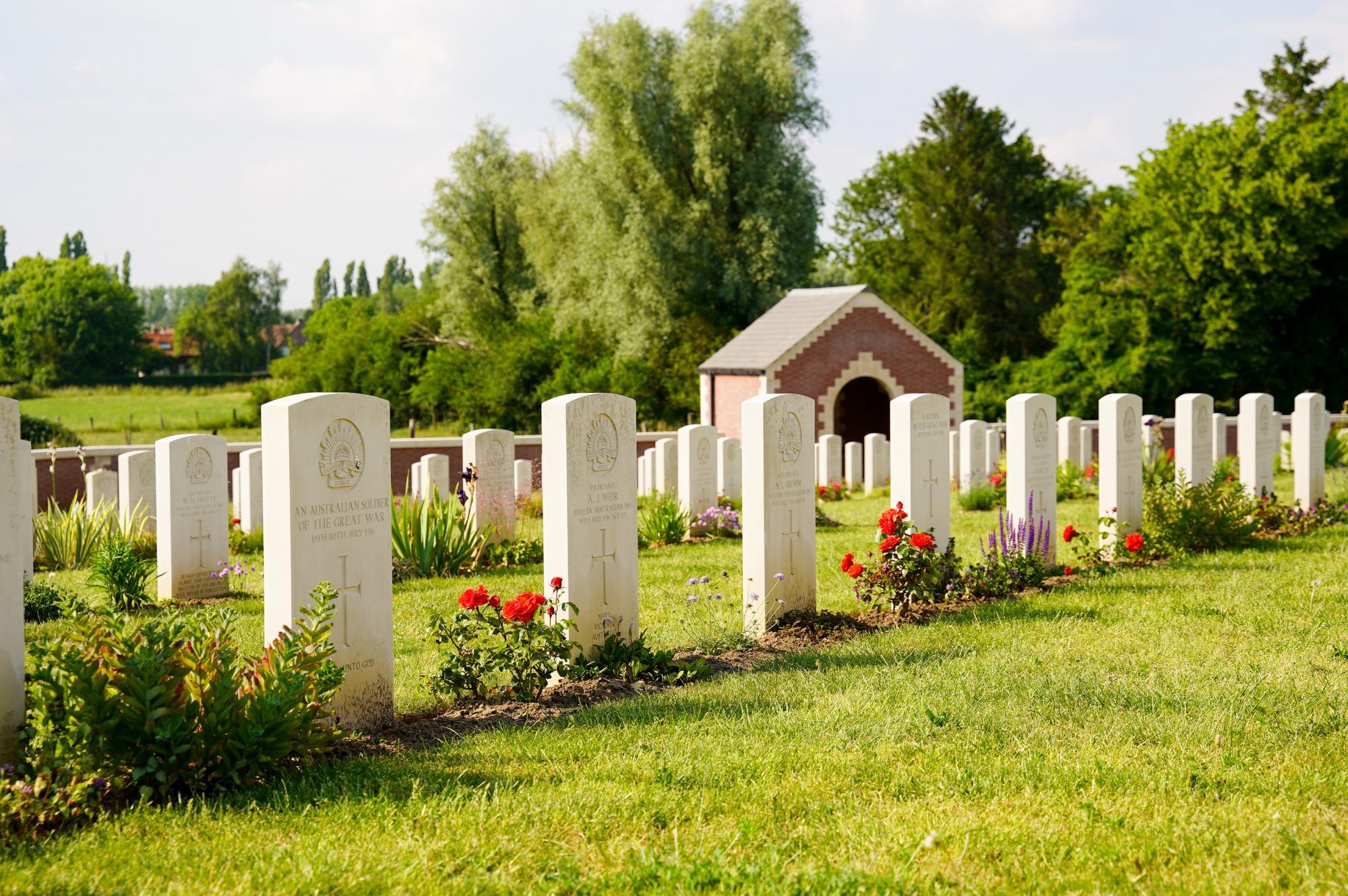 a travers leurs regards